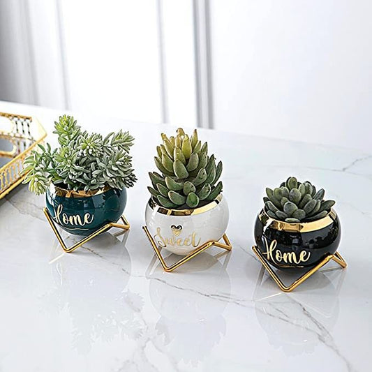 Home Decor Gift Succulent pot for flowers