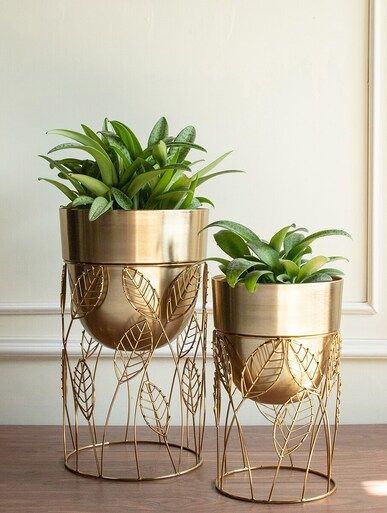 FLOWER POT