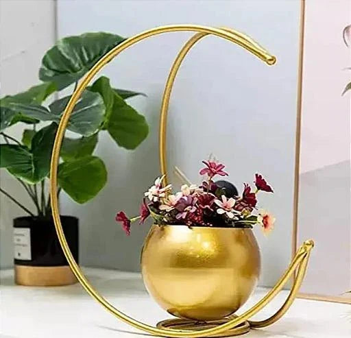 Modern Test Tube Glass Vase – Minimalist Hydroponic Planter for Home Décor DECOR DARBARS