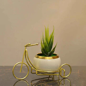 Sleek metallic cycle with Artificial Plant DECOR DARBARS